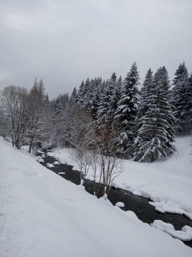 Agroturystyka Oblica Zawoja Exteriér fotografie