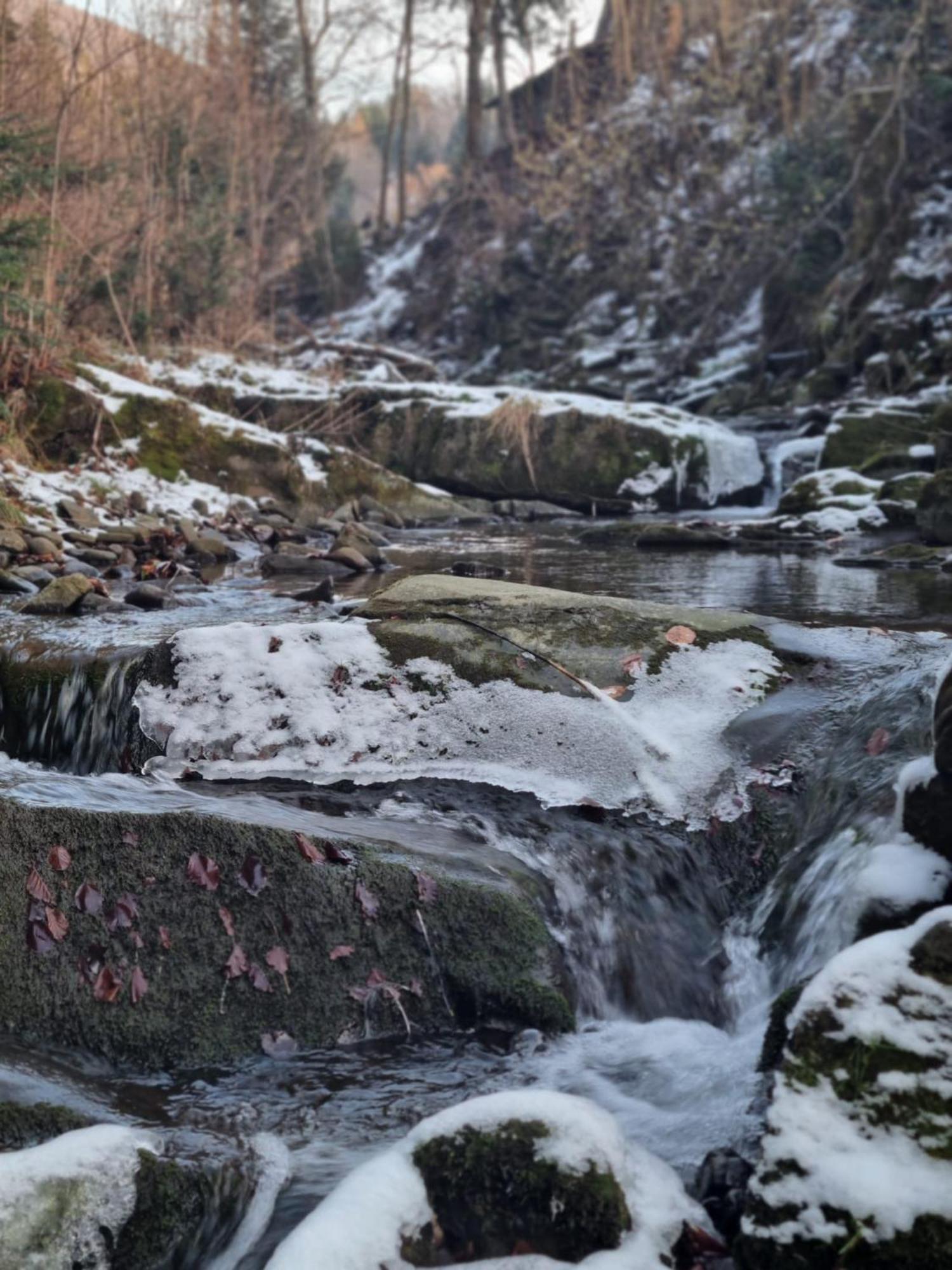 Agroturystyka Oblica Zawoja Exteriér fotografie