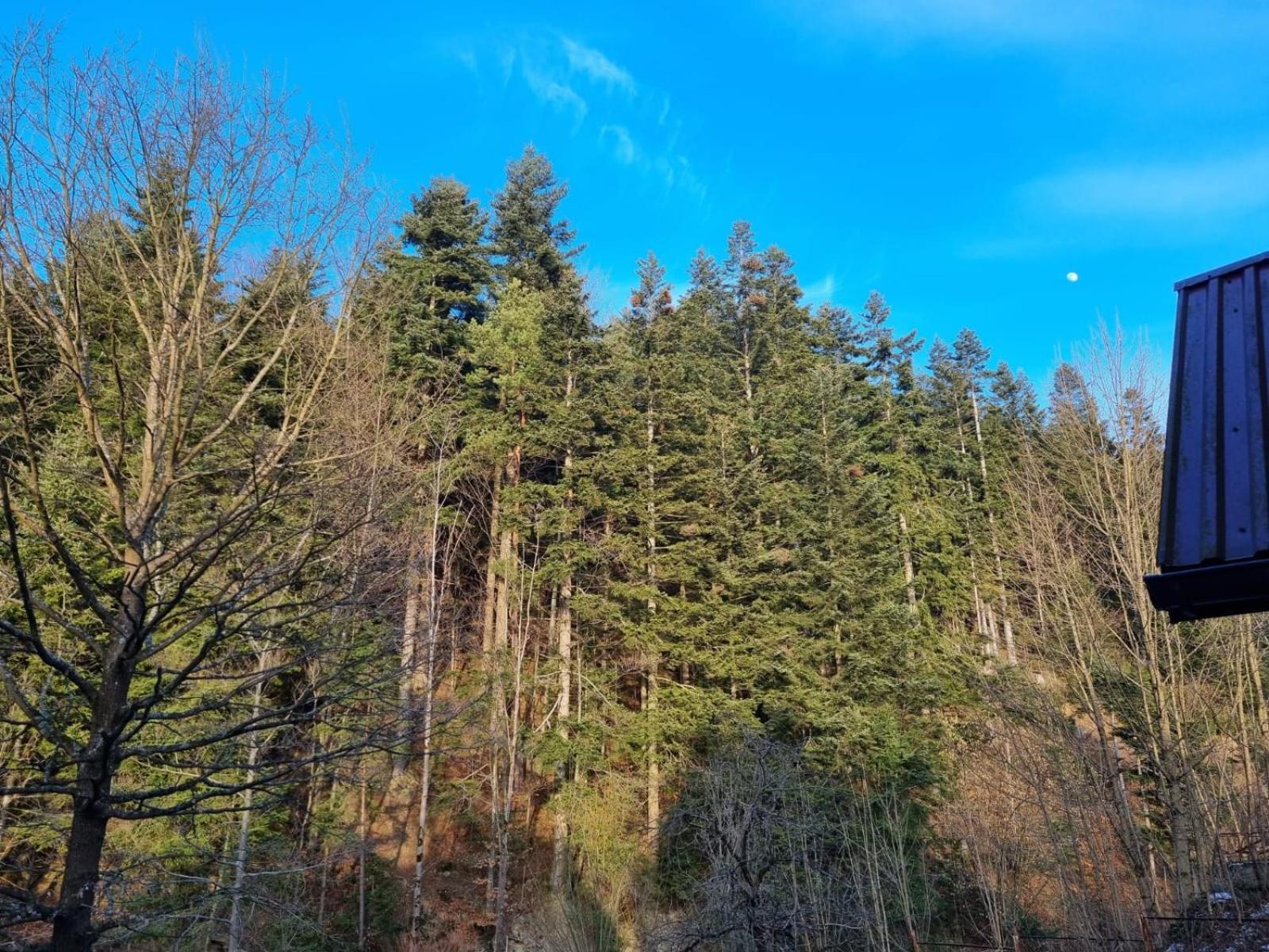 Agroturystyka Oblica Zawoja Exteriér fotografie