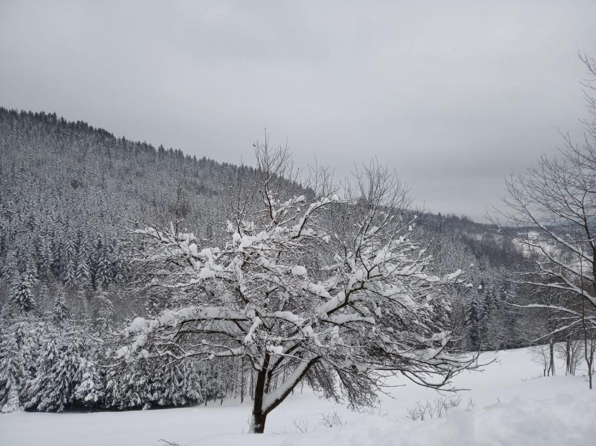 Agroturystyka Oblica Zawoja Exteriér fotografie